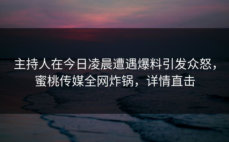 主持人在今日凌晨遭遇爆料引发众怒，蜜桃传媒全网炸锅，详情直击