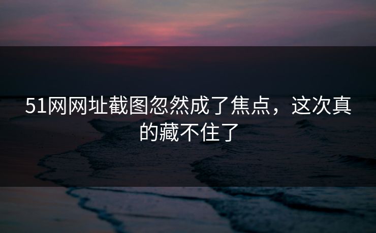 51网网址截图忽然成了焦点，这次真的藏不住了