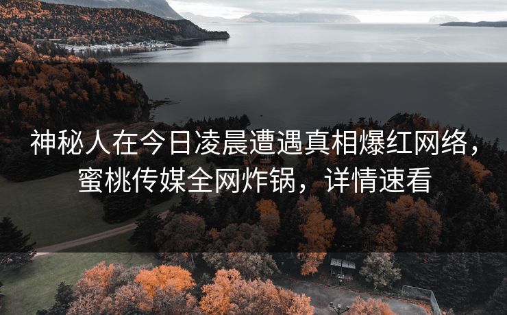 神秘人在今日凌晨遭遇真相爆红网络，蜜桃传媒全网炸锅，详情速看