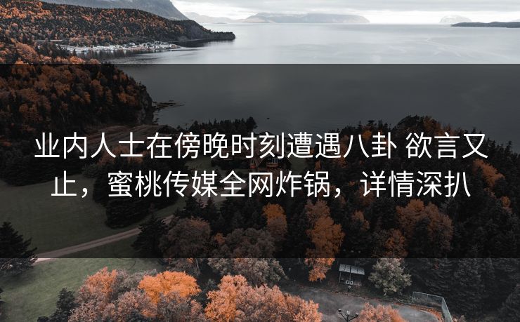 业内人士在傍晚时刻遭遇八卦 欲言又止，蜜桃传媒全网炸锅，详情深扒