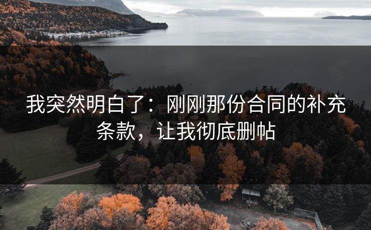 我突然明白了：刚刚那份合同的补充条款，让我彻底删帖